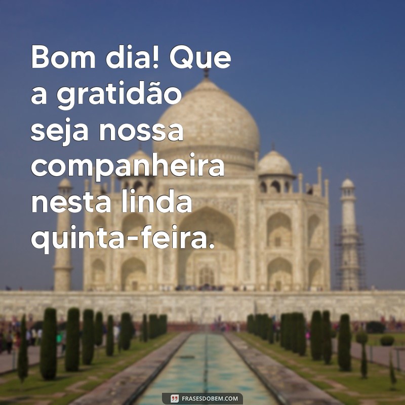 Bom Dia Quinta-Feira: 24 Frases de Gratidão para Começar o Dia com Positividade 