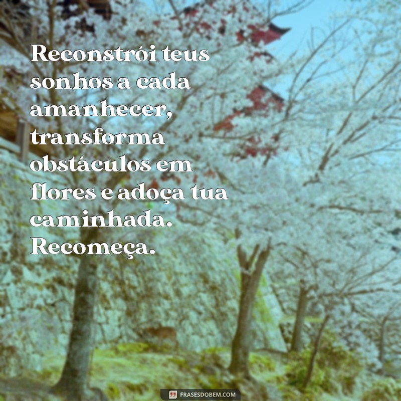 recria tua vida sempre sempre. remove pedras e planta roseiras e faz doces. recomeça Reconstrói teus sonhos a cada amanhecer, transforma obstáculos em flores e adoça tua caminhada. Recomeça.