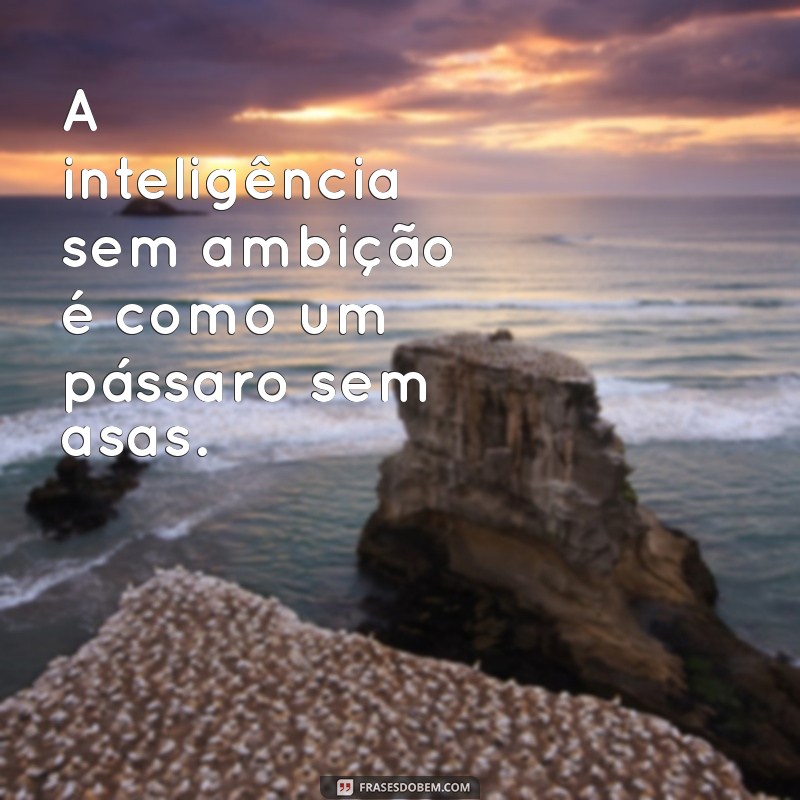 Mensagens Inteligentes: Dicas para Comunicar-se com Eficácia e Criatividade 