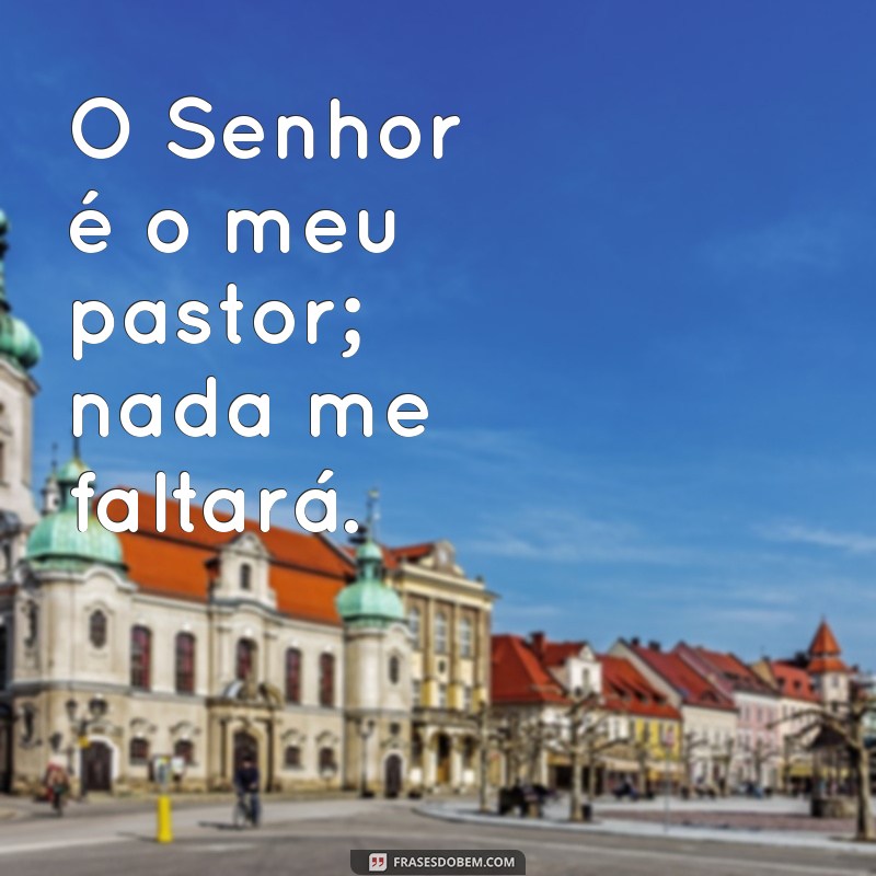 todos os salmos O Senhor é o meu pastor; nada me faltará.