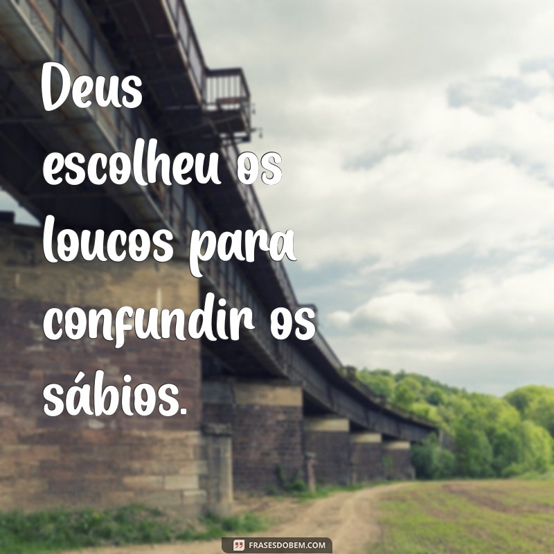 deus escolheu os loucos para confundir os sábios Deus escolheu os loucos para confundir os sábios.