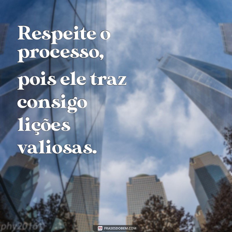 Respeite o Processo: A Chave para o Sucesso Pessoal e Profissional 