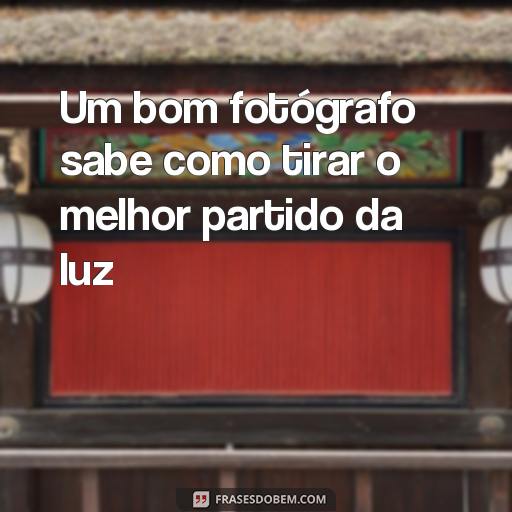 30 Frases Inspiradoras sobre Fotografia para Te Motivar Um bom fotógrafo sabe como tirar o melhor partido da luz