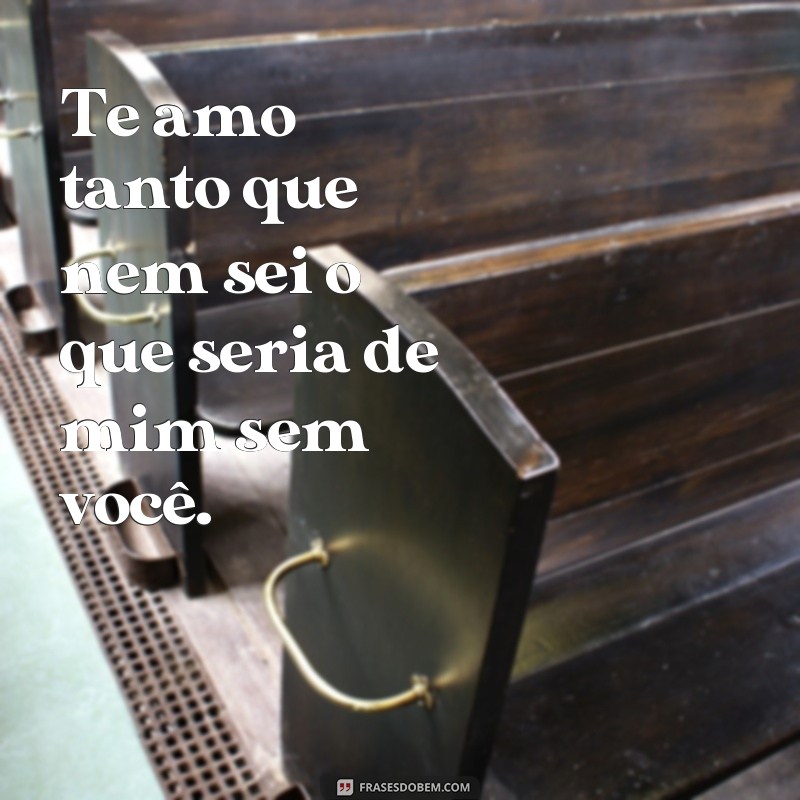 Descubra as melhores frases de amor para expressar seu sentimento: Te amo tanto que nem sei! 