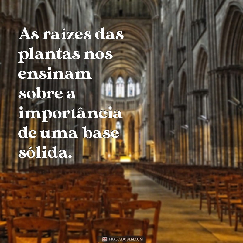 Frases Inspiradoras para Cuidar de Plantas e Transformar Seu Jardim 