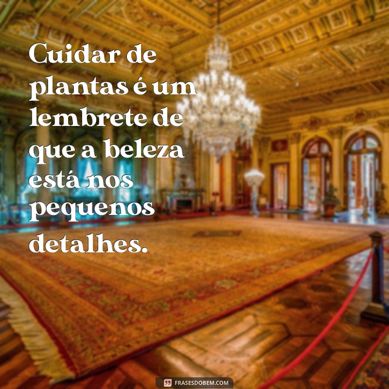 Frases Inspiradoras para Cuidar de Plantas e Transformar Seu Jardim 