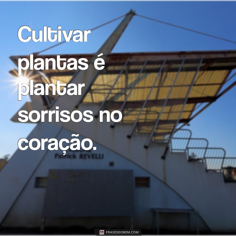 Frases Inspiradoras para Cuidar de Plantas e Transformar Seu Jardim 