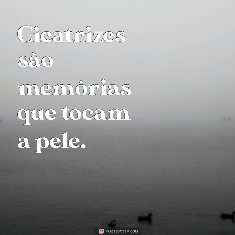 Cicatrizes: Frases Curtas que Inspiram e Curam 