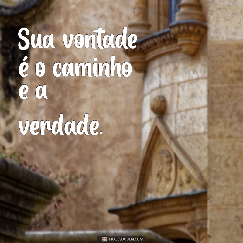 Frases Inspiradoras: Aceitando a Vontade de Deus em Sua Vida 