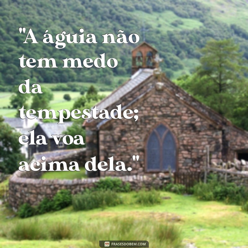 sabedoria frases de aguia 