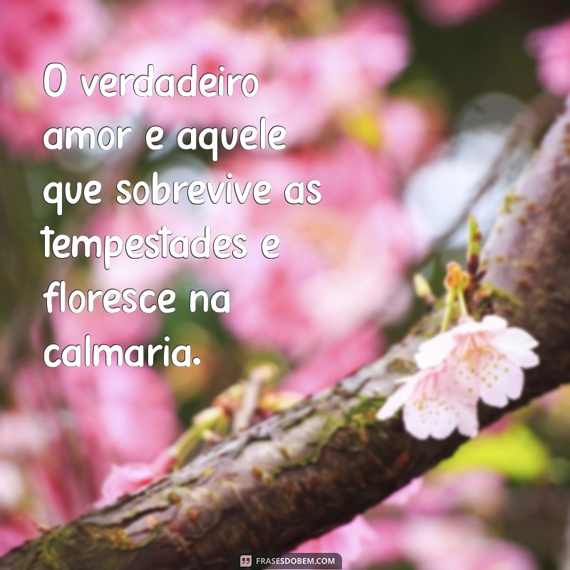 As Melhores Frases para Celebrar o Amor: Inspire-se e Compartilhe 