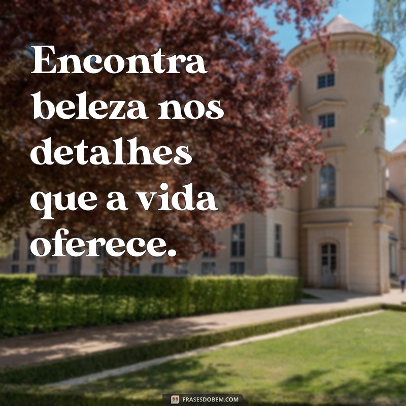 Frases Inspiradoras para Enriquecer Biografias: Dicas e Exemplos 