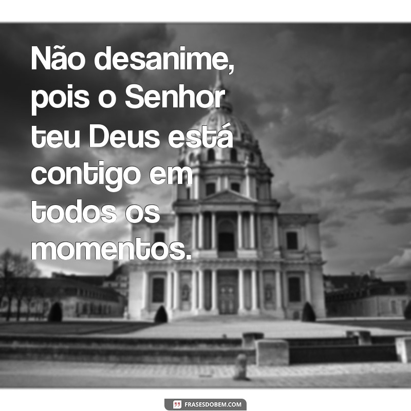 nao desanime pois o senhor teu deus Não desanime, pois o Senhor teu Deus está contigo em todos os momentos.