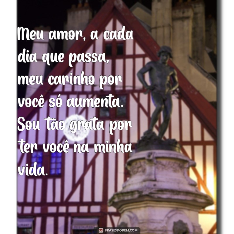 texto para namorado dizendo o quanto eu amo ele Meu amor, a cada dia que passa, meu carinho por você só aumenta. Sou tão grata por ter você na minha vida.