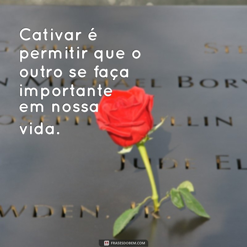 As Melhores Frases do Pequeno Príncipe Sobre o Poder de Cativar 