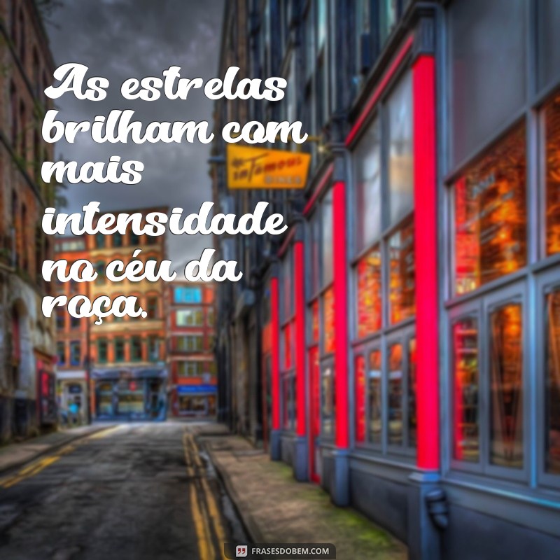 Frases Inspiradoras sobre a Vida no Interior e na Roça 