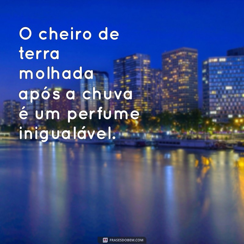 Frases Inspiradoras sobre a Vida no Interior e na Roça 