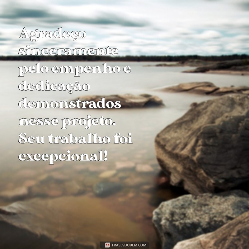 agradecimento por um trabalho bem feito Agradeço sinceramente pelo empenho e dedicação demonstrados nesse projeto. Seu trabalho foi excepcional!