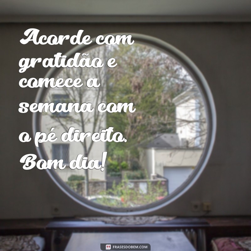 Mensagens Inspiradoras de Bom Dia para Começar Bem a Semana 