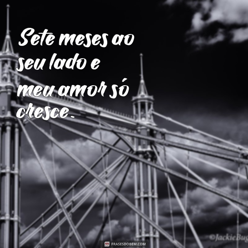 frases de sete meses de namoro Sete meses ao seu lado e meu amor só cresce.