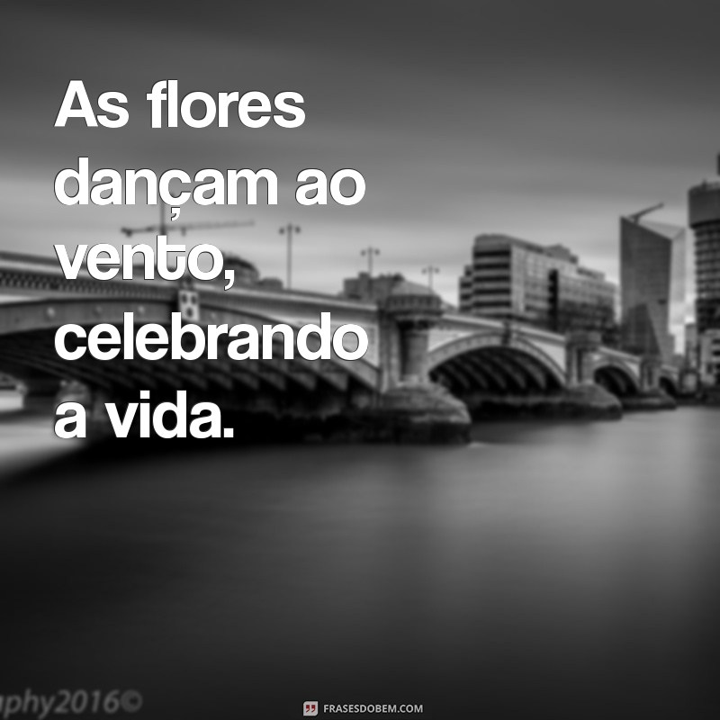 Versos Bonitos: Inspire-se com Poesias Encantadoras 