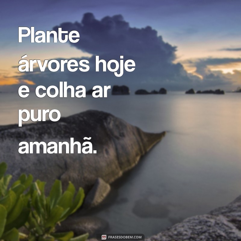 Impacte Positivamente: Frases Inspiradoras para o Dia do Meio Ambiente 