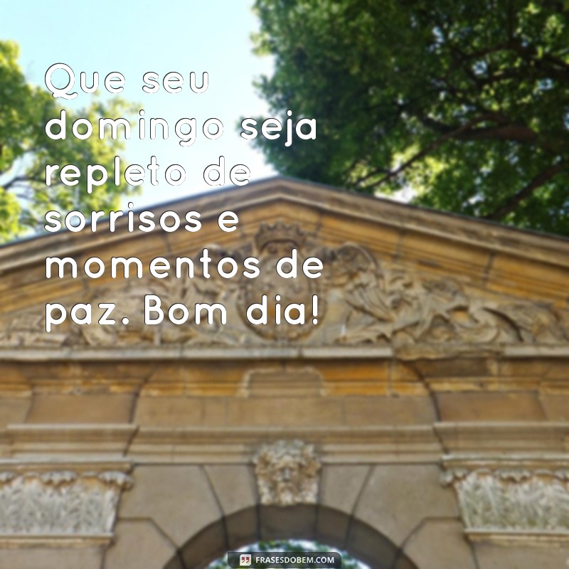 msn bom dia domingo Que seu domingo seja repleto de sorrisos e momentos de paz. Bom dia!