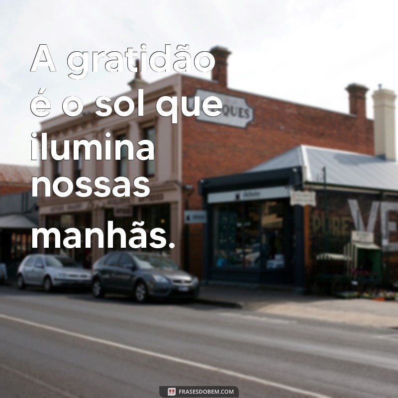 Frases Inspiradoras de Bom Dia e Gratidão para Começar Bem o Seu Dia 