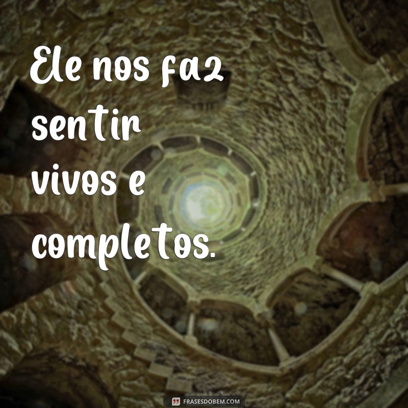 Descubra as mais belas frases sobre o amor e se inspire! 