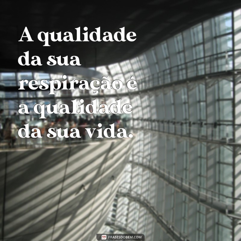 Melhores Frases Inspiradoras Sobre Saúde e Qualidade de Vida 