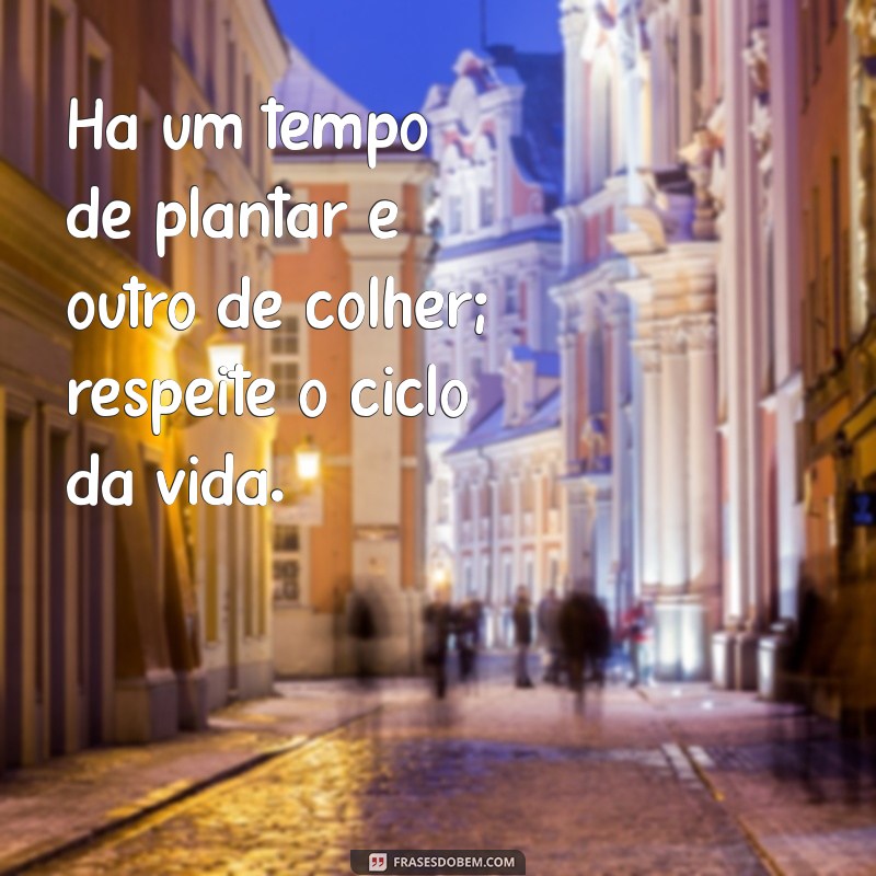 Frases Inspiradoras Sobre o Tempo Certo para Todas as Coisas 