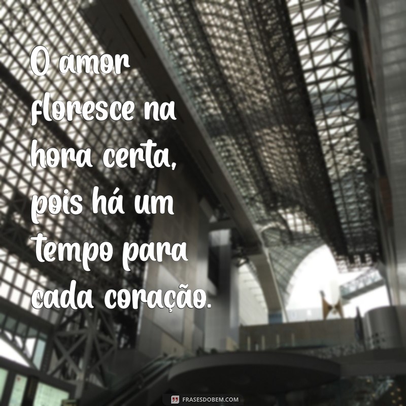 Frases Inspiradoras Sobre o Tempo Certo para Todas as Coisas 