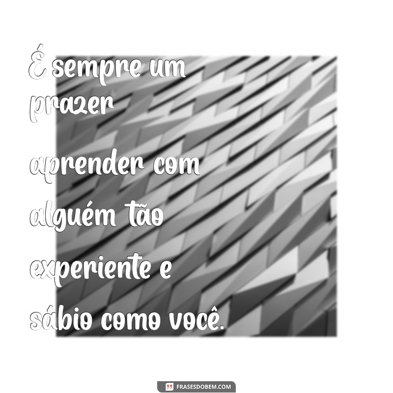 Como Reconhecer e Lidar com Mensagens de Puxa-Saco no Ambiente de Trabalho 