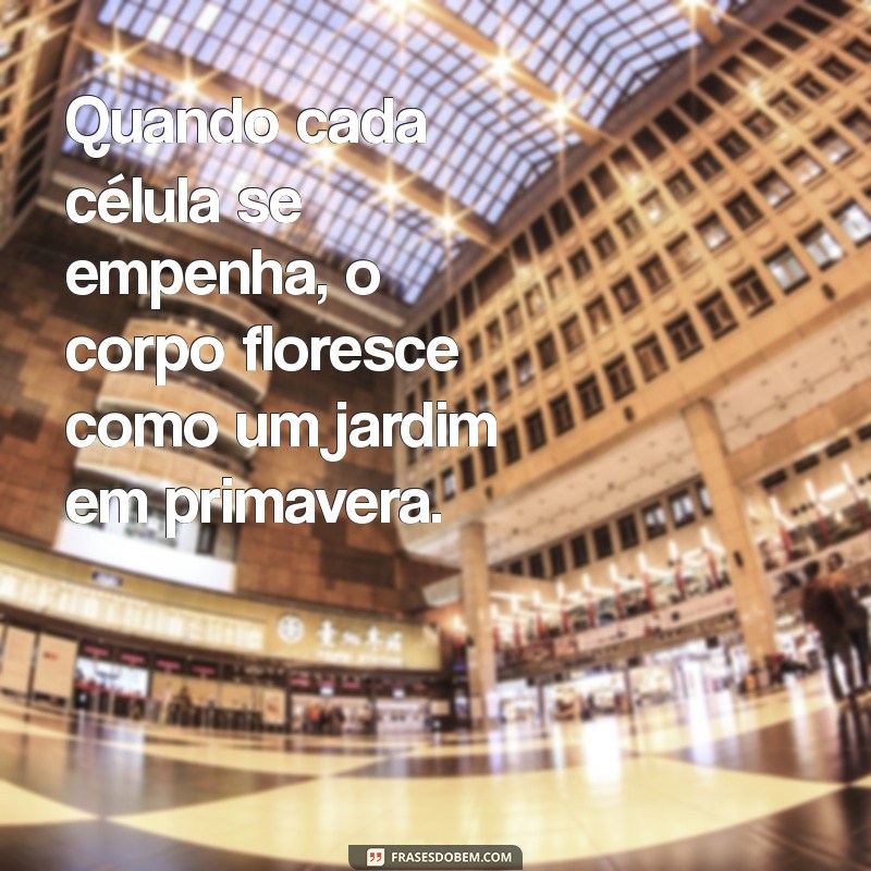 Frases Motivacionais para Energizar e Inspirar Suas Células 