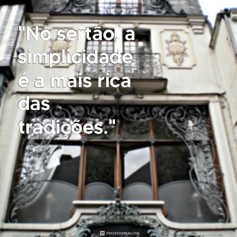 frases do sertão 