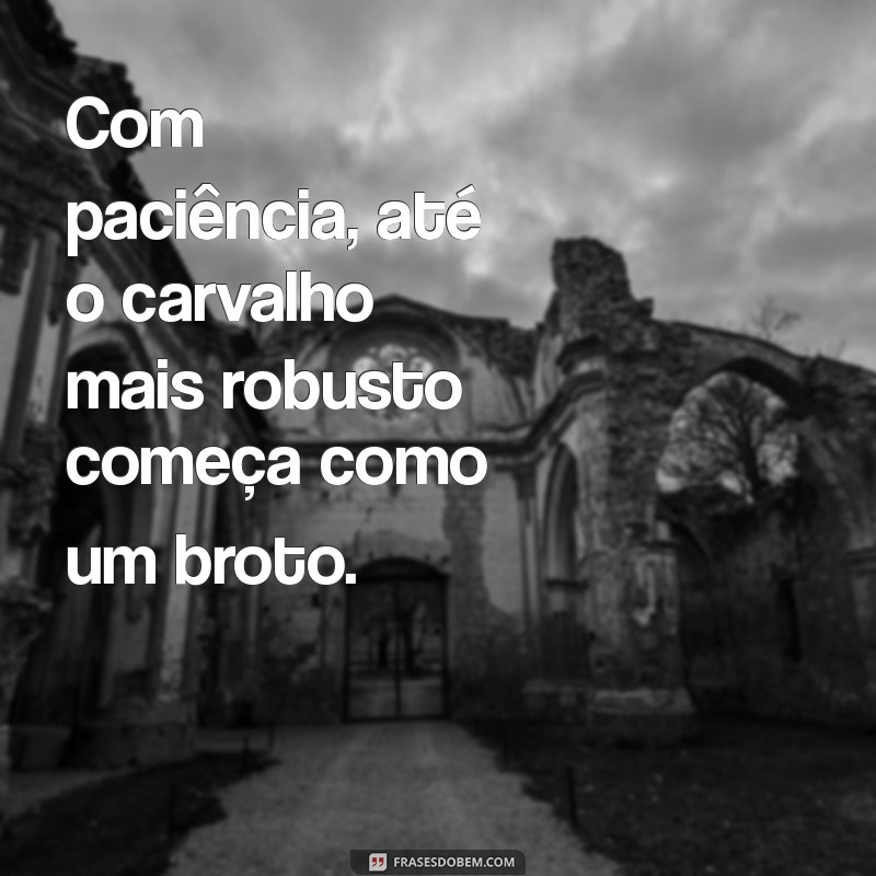 Frases Inspiradoras Sobre Paciência: Encontre Serenidade e Sabedoria 