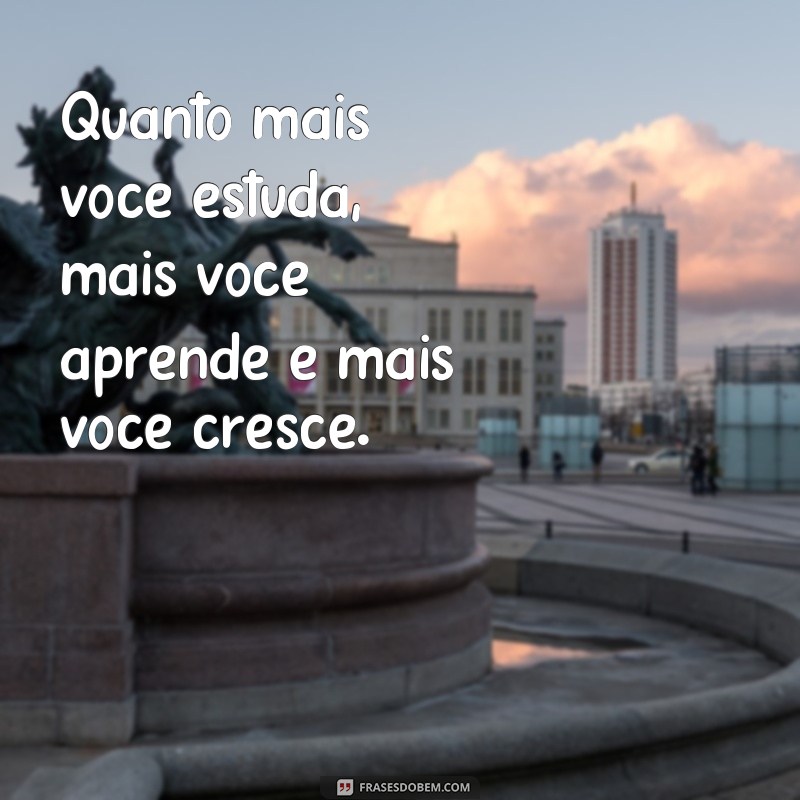 Descubra as Melhores Frases para Inspirar seus Estudos - Fotos Incluídas! 