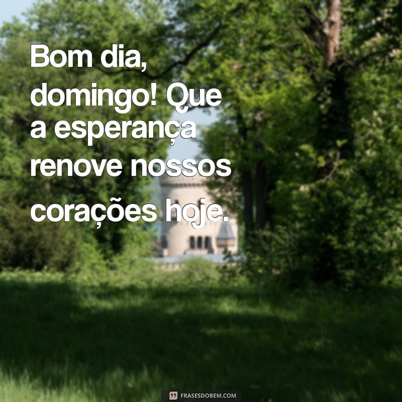 bom dia domingo com esperança Bom dia, domingo! Que a esperança renove nossos corações hoje.