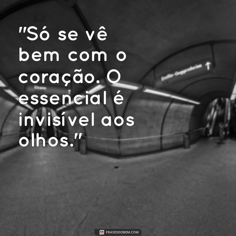 o pequeno principe texto 