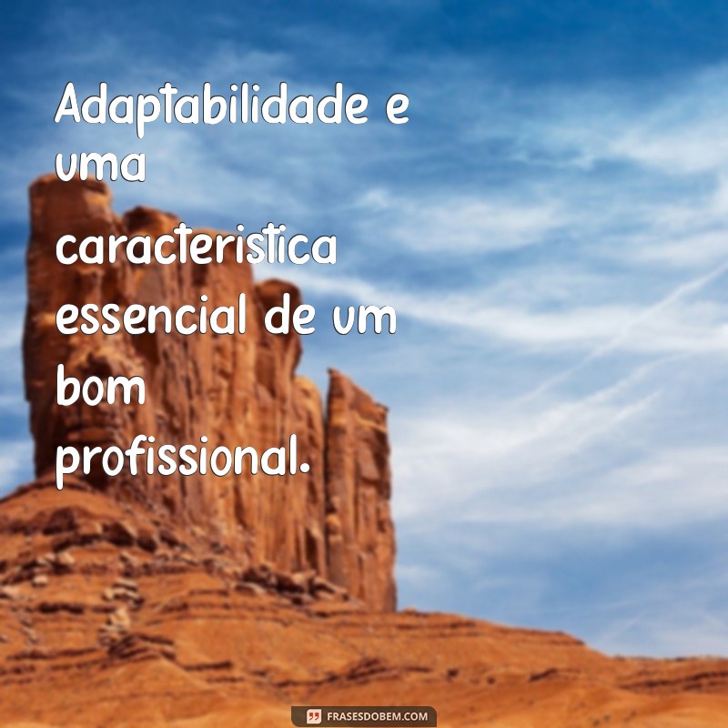 Frases Inspiradoras para se Tornar um Bom Profissional 