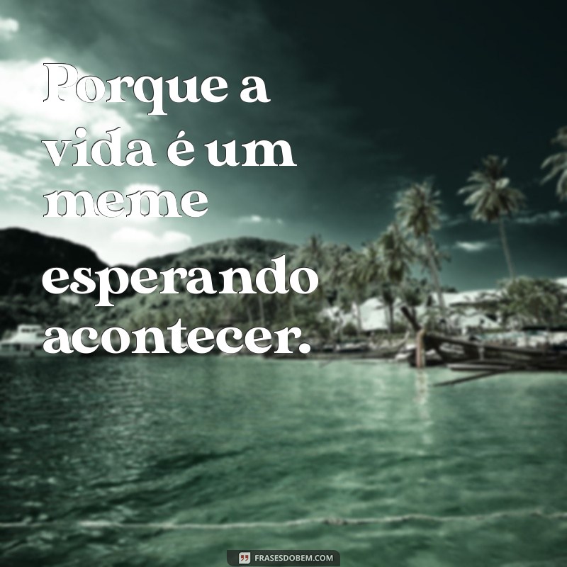 As Melhores Frases do Dia em Formato de Meme para Alegrar Sua Rotina 