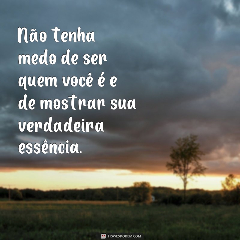 Otimize seu Feed com o Melhor Separador de Frases 