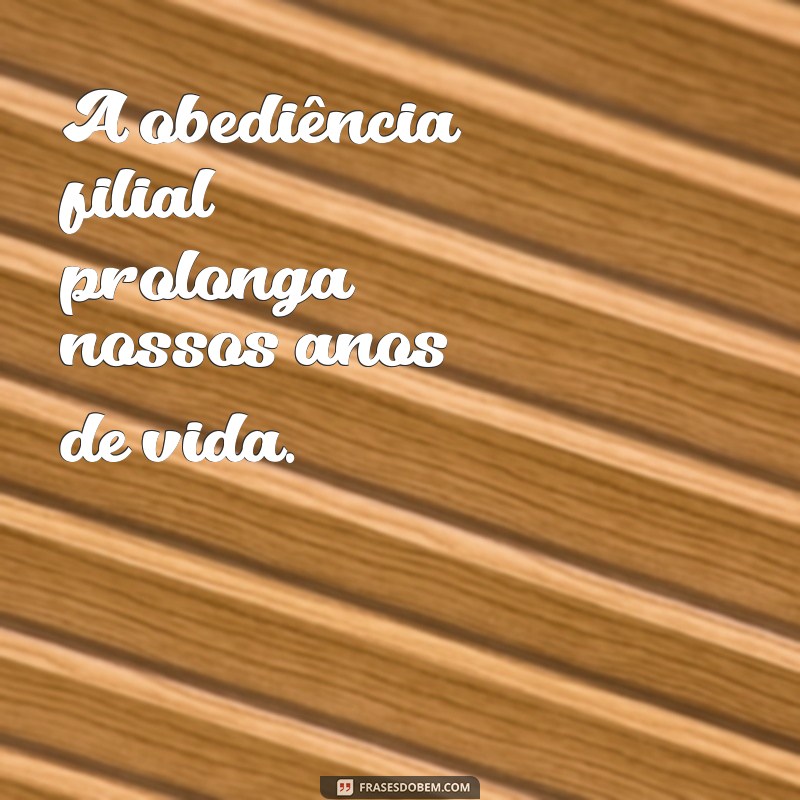 Os Benefícios de Obedecer aos Pais: Prolongue Seus Dias na Terra 