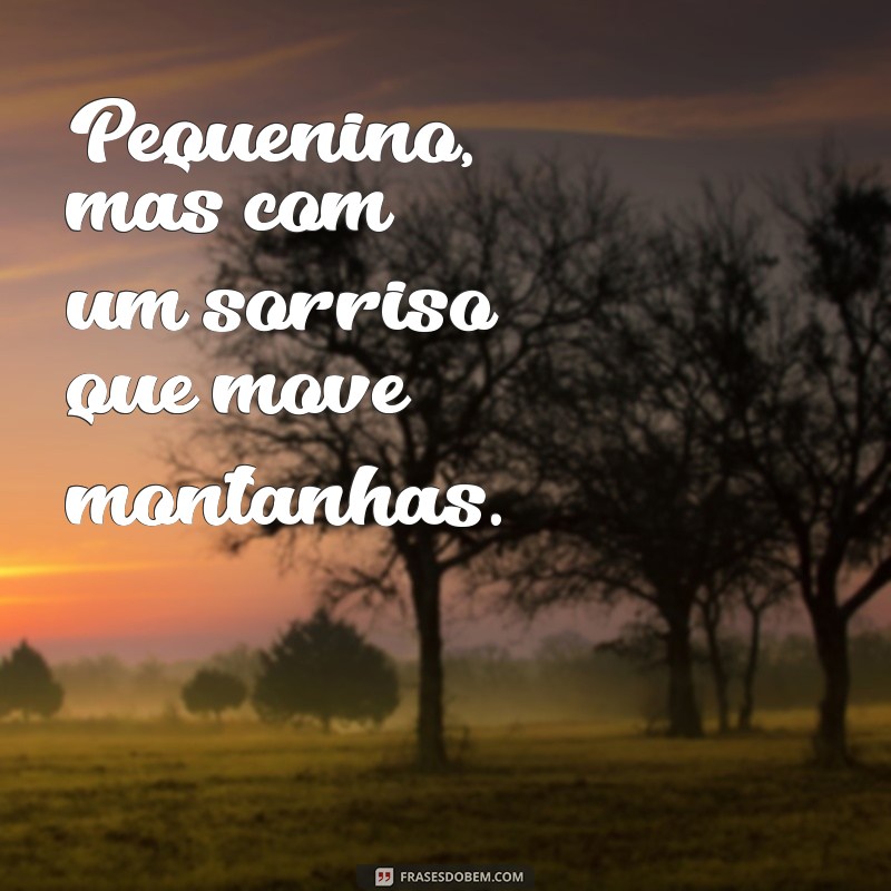 Capturando Sorrisos: As Melhores Frases para Fotos de Bebês 