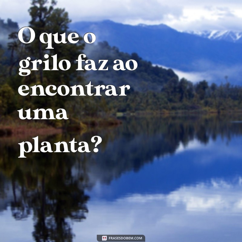 O Que o Grilo Faz: Descubra os Sons e Comportamentos dos Grilos 