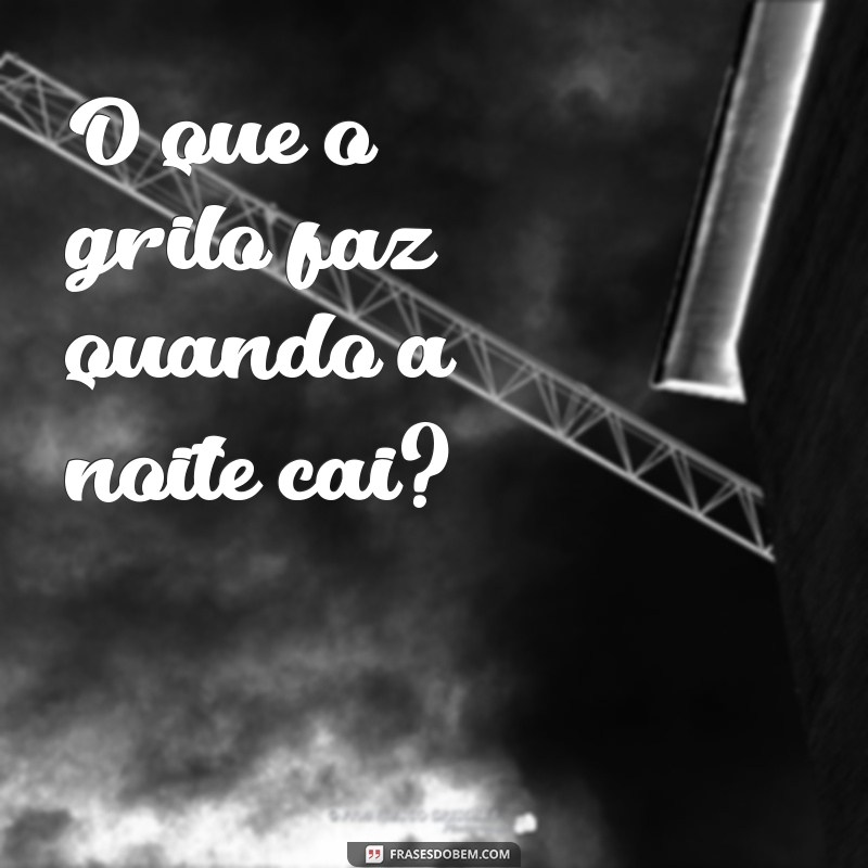 o que o grilo faz O que o grilo faz quando a noite cai?