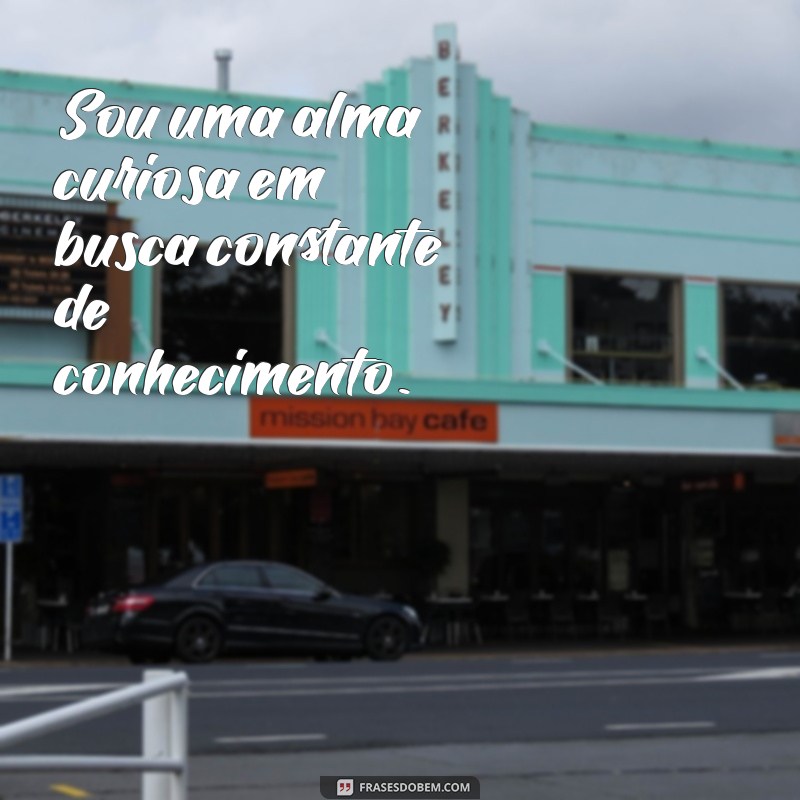 frases sobre minha pessoa Sou uma alma curiosa em busca constante de conhecimento.