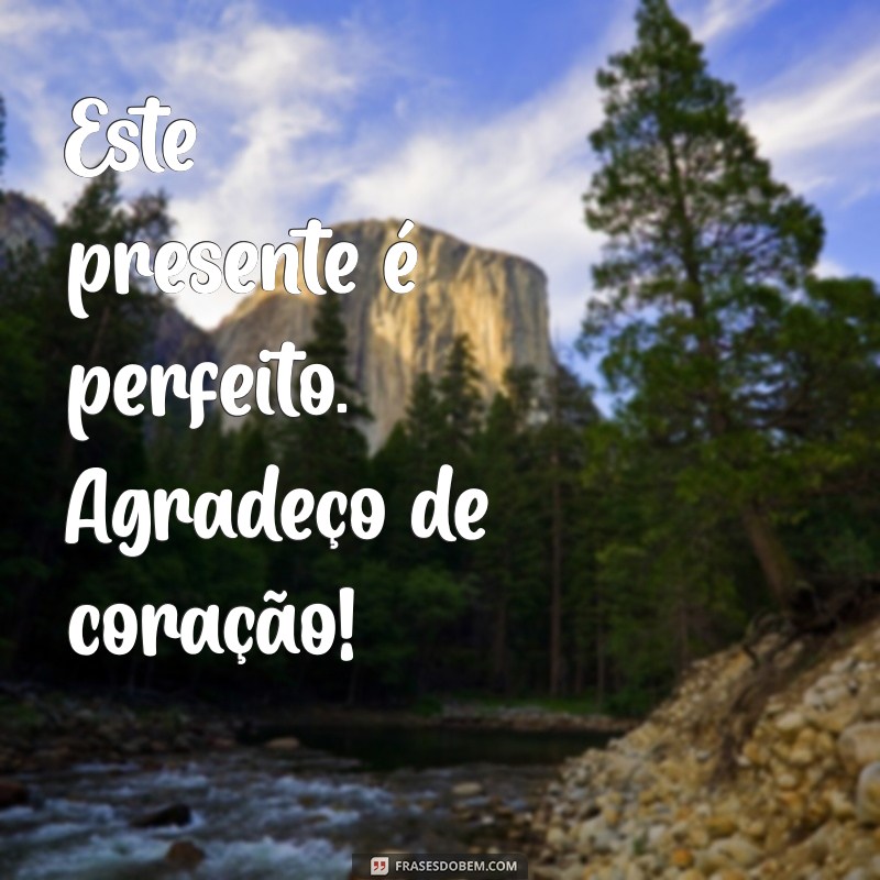 Frases Inspiradoras para Agradecer um Presente Especial 