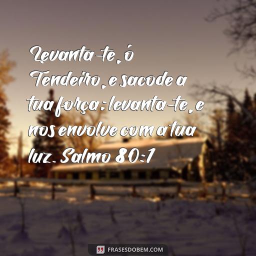 Frases Bíblicas dos Salmos: Inspire-se com as Palavras de Deus Levanta-te, ó Tendeiro, e sacode a tua força; levanta-te, e nos envolve com a tua luz. Salmo 80:1