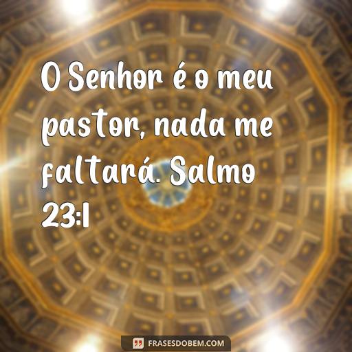 Frases Bíblicas dos Salmos: Inspire-se com as Palavras de Deus O Senhor é o meu pastor; nada me faltará. Salmo 23:1